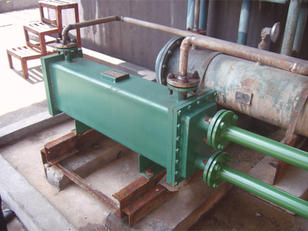 多米官方版网站登录入口