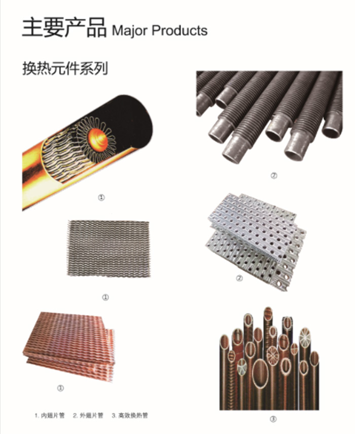 多米官方版网站登录入口