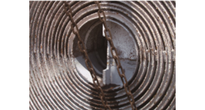 多米官方版网站登录入口