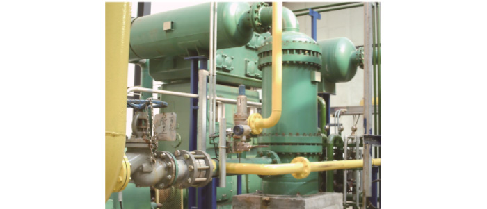 多米官方版网站登录入口