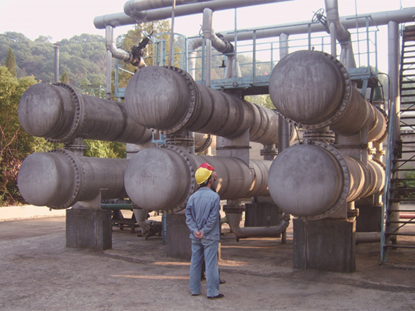 关于多米(中国)